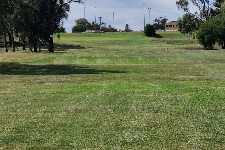 Golf course fairway at Wentworth Sporting Complex